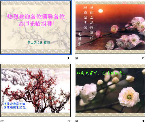 鿴Ԥͼ