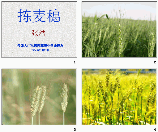 鿴Ԥͼ