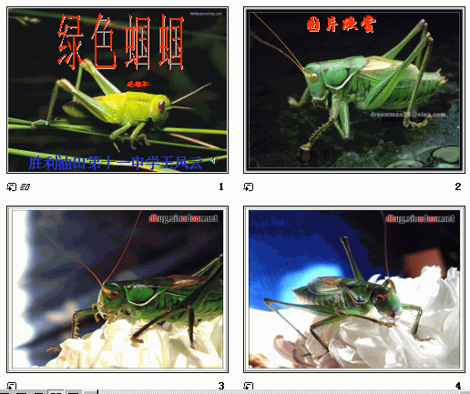 鿴Ԥͼ