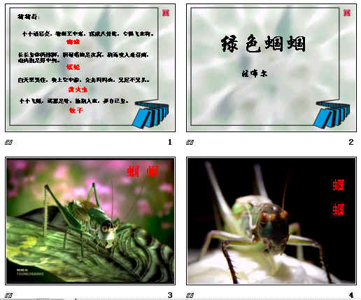 鿴Ԥͼ