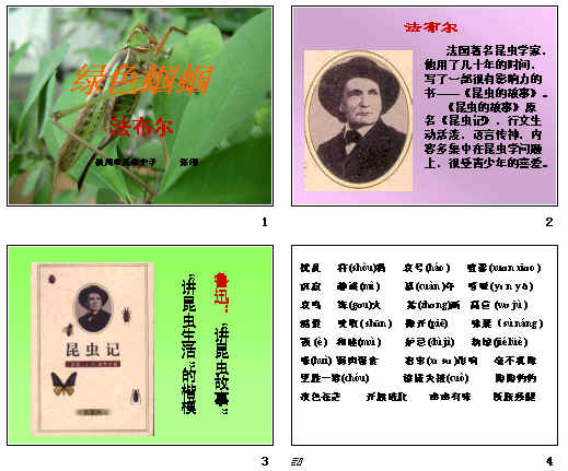 鿴Ԥͼ