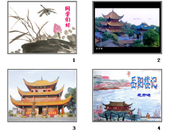 鿴Ԥͼ