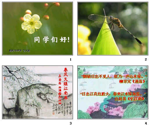 鿴Ԥͼ
