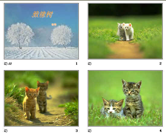 鿴Ԥͼ