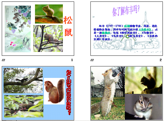 鿴Ԥͼ