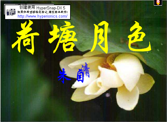 鿴Ԥͼ