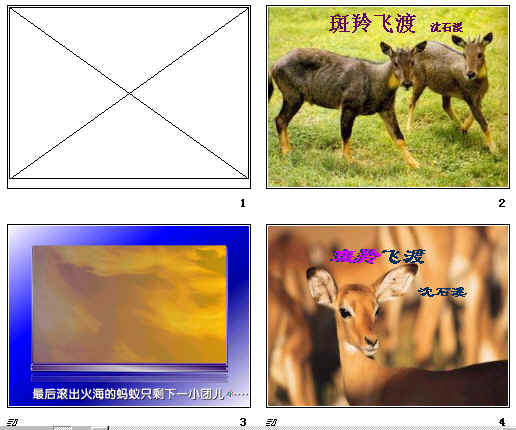 鿴Ԥͼ
