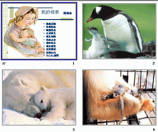 鿴Ԥͼ