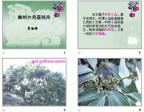 鿴Ԥͼ