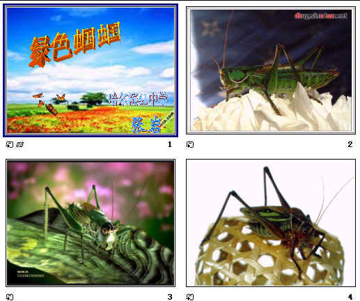 鿴Ԥͼ