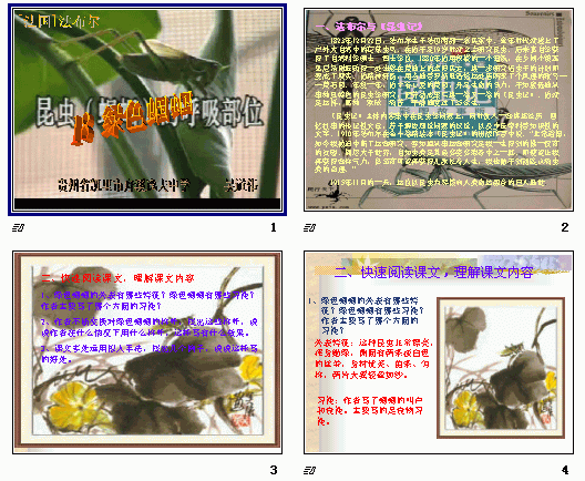 鿴Ԥͼ