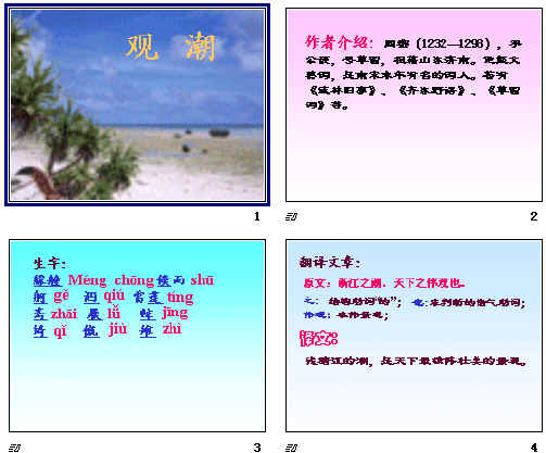 鿴Ԥͼ