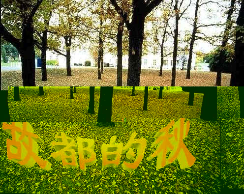 鿴Ԥͼ