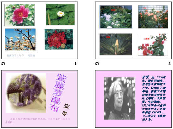 鿴Ԥͼ