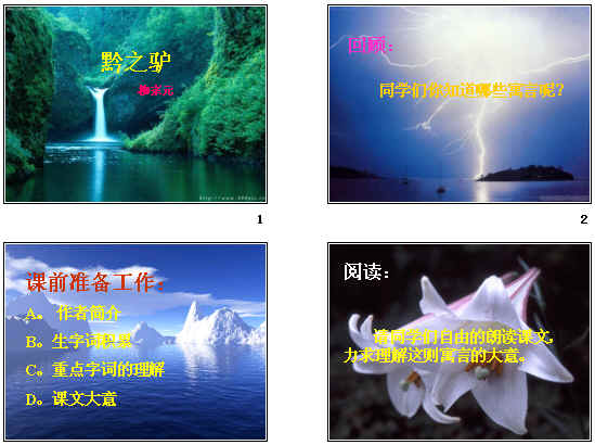 鿴Ԥͼ