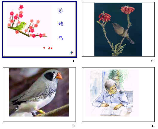 鿴Ԥͼ