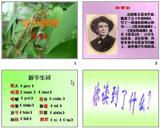 鿴Ԥͼ