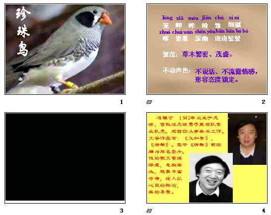 鿴Ԥͼ