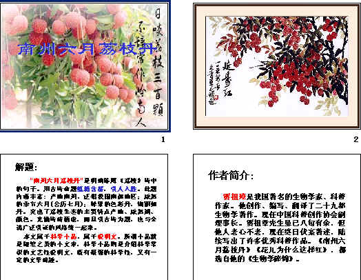 鿴Ԥͼ