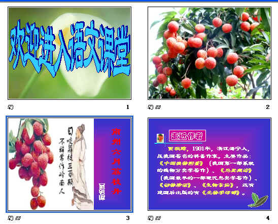 鿴Ԥͼ