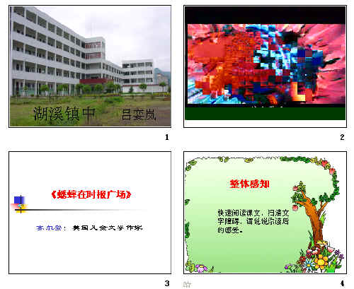 鿴Ԥͼ