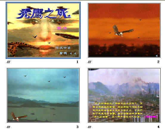 鿴Ԥͼ