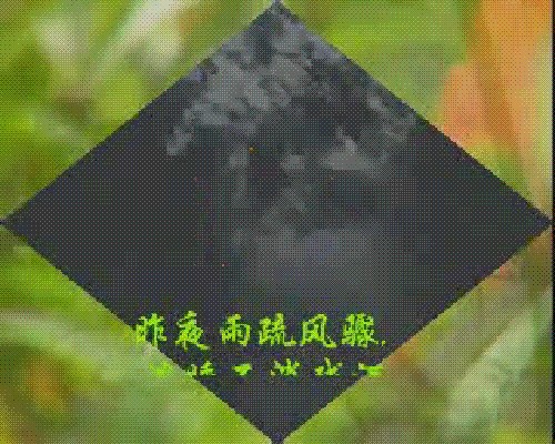 鿴Ԥͼ