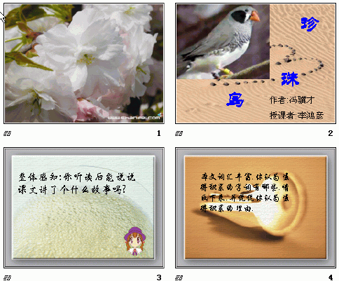 鿴Ԥͼ