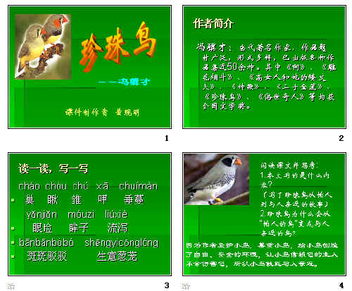 鿴Ԥͼ