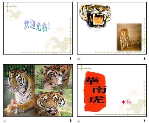 鿴Ԥͼ