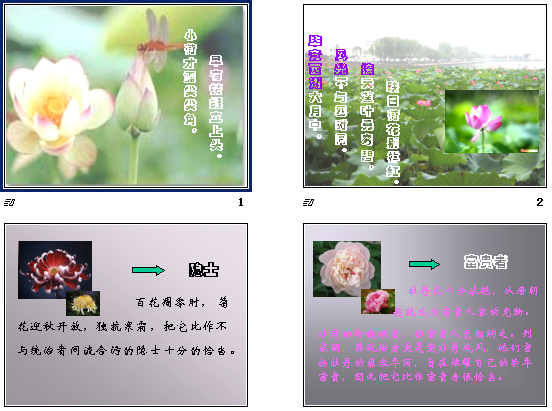 鿴Ԥͼ