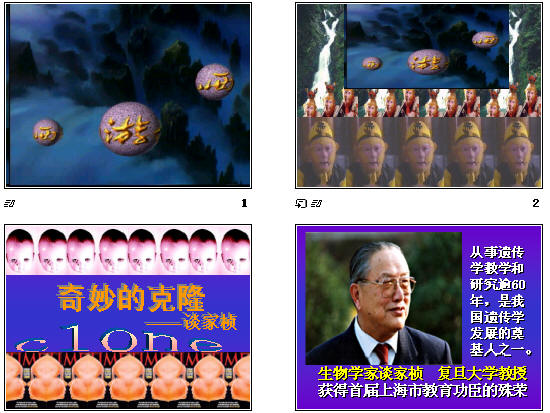 鿴Ԥͼ