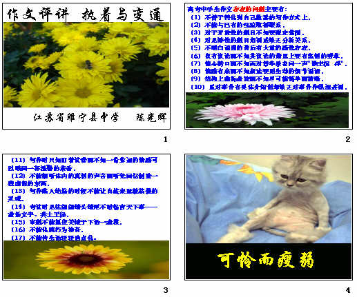 鿴Ԥͼ