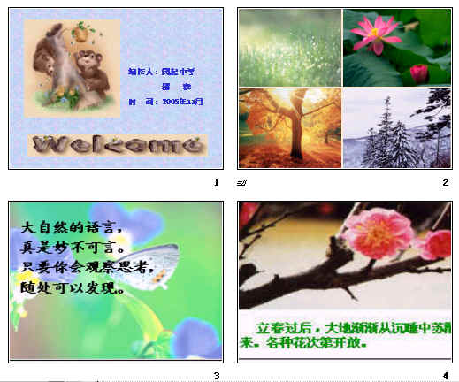 鿴Ԥͼ