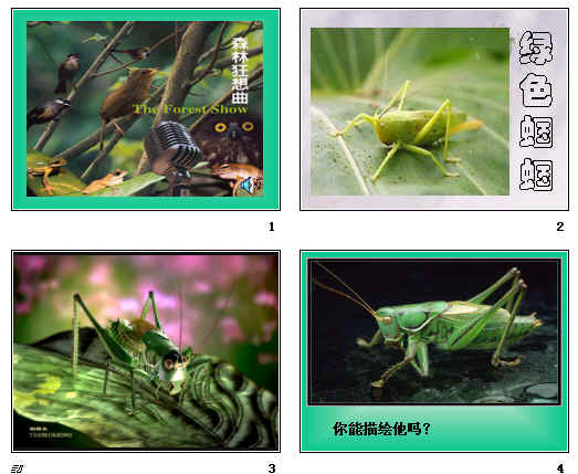 鿴Ԥͼ