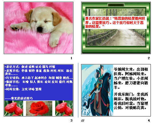 鿴Ԥͼ
