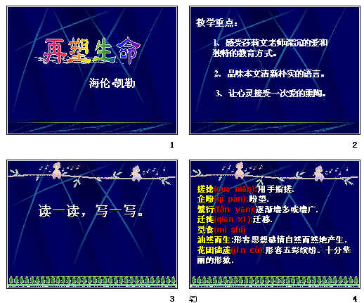 鿴Ԥͼ