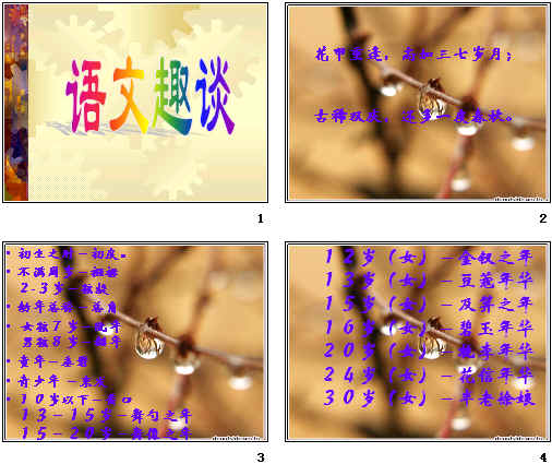 鿴Ԥͼ