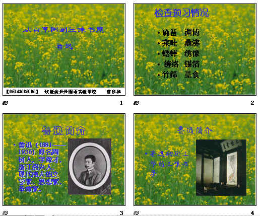 鿴Ԥͼ