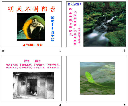 鿴Ԥͼ