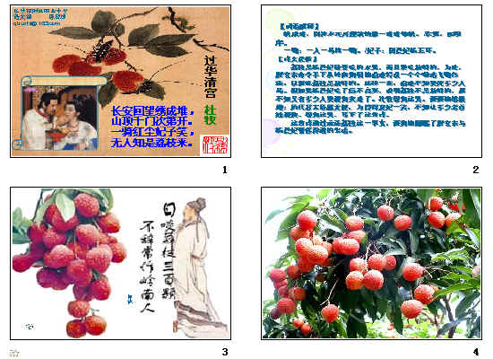 鿴Ԥͼ