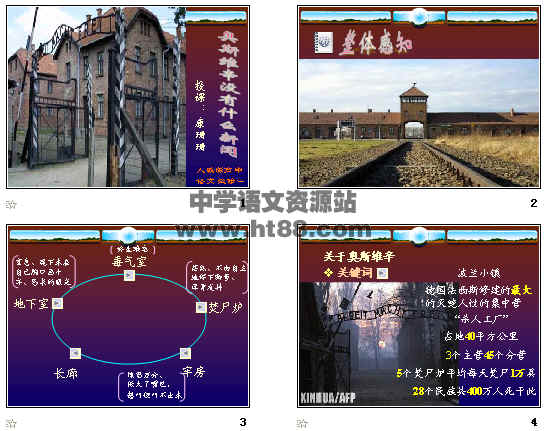 鿴Ԥͼ