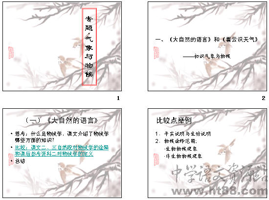 鿴Ԥͼ