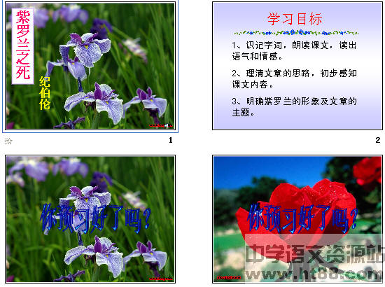 鿴Ԥͼ