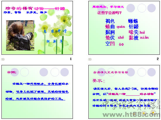 鿴Ԥͼ
