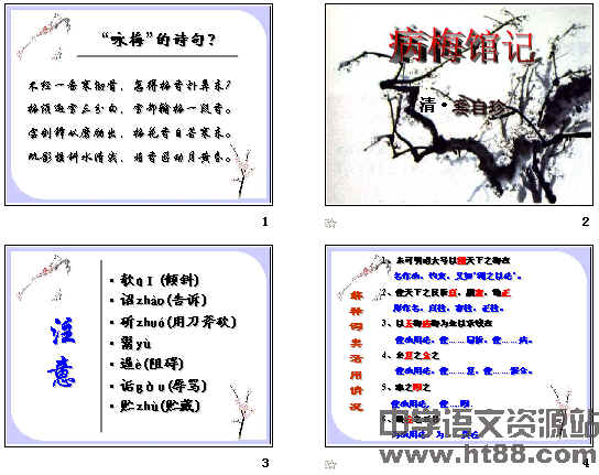 鿴Ԥͼ