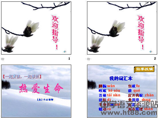 鿴Ԥͼ