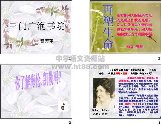 鿴Ԥͼ