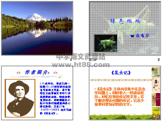 鿴Ԥͼ
