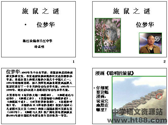 鿴Ԥͼ